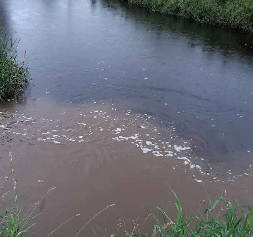 River Faughan sediment pollution